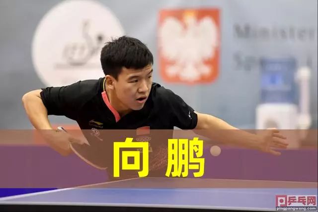 书写新的辉 书写新的辉